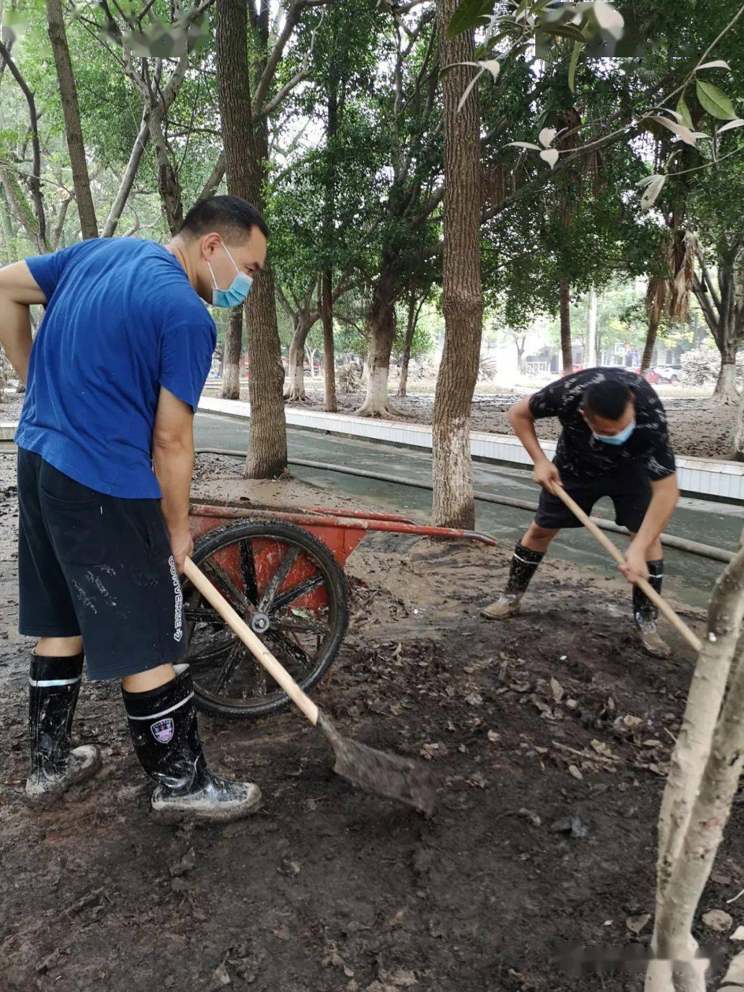 魔兽世界德鲁伊形态外观-爱游戏体育